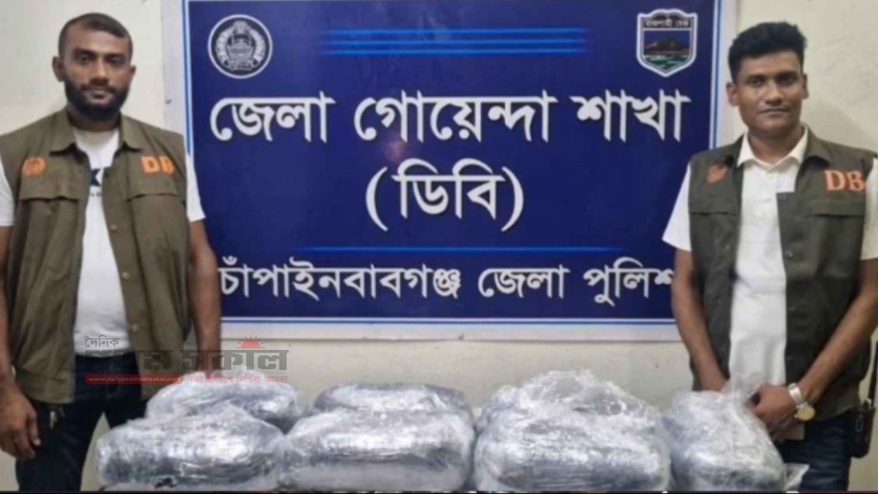 চাঁপাইনবাবগঞ্জে এজেআর কুরিয়ার থেকে ২ কার্টন গাঁজা উদ্ধার করেছে ডিবি পুলিশ