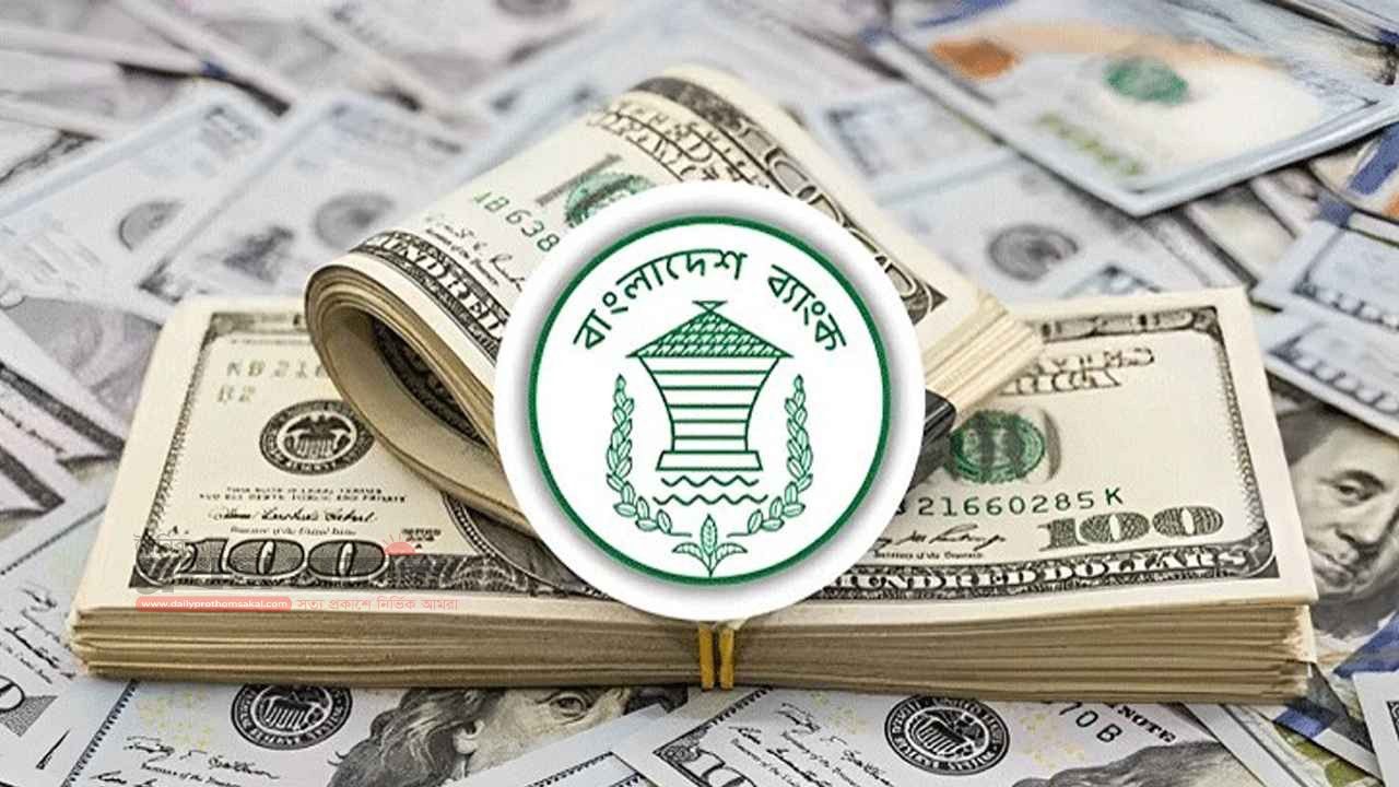  ১৯ দিনে প্রবাসীদের আয় ২০৩ কোটি ১০ লাখ মার্কিন ডলার 